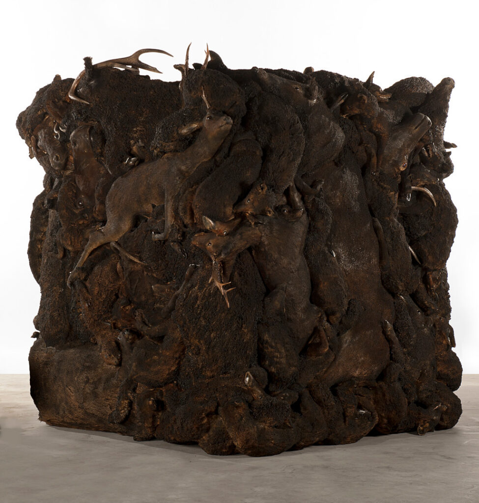 Œuvre d'art de l'artiste Adel Abdessemed - Taxidermia