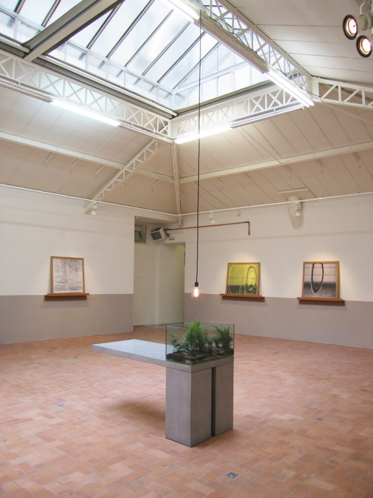 Œuvre d'art de l'artiste Andrea Blum - Still Life
