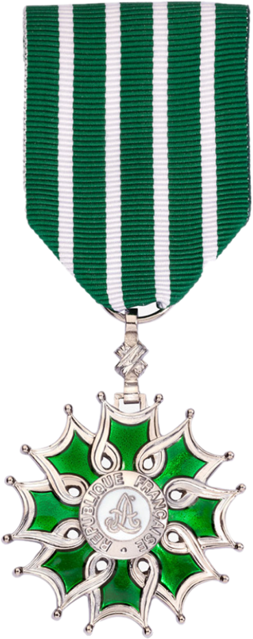 médaille de chevalier des arts et des lettres